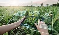 Iran establishes first national AI Task Force for Agriculture and Natural Resources